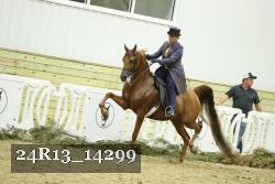 24R13_14299 proof