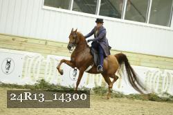 24R13_14300 proof