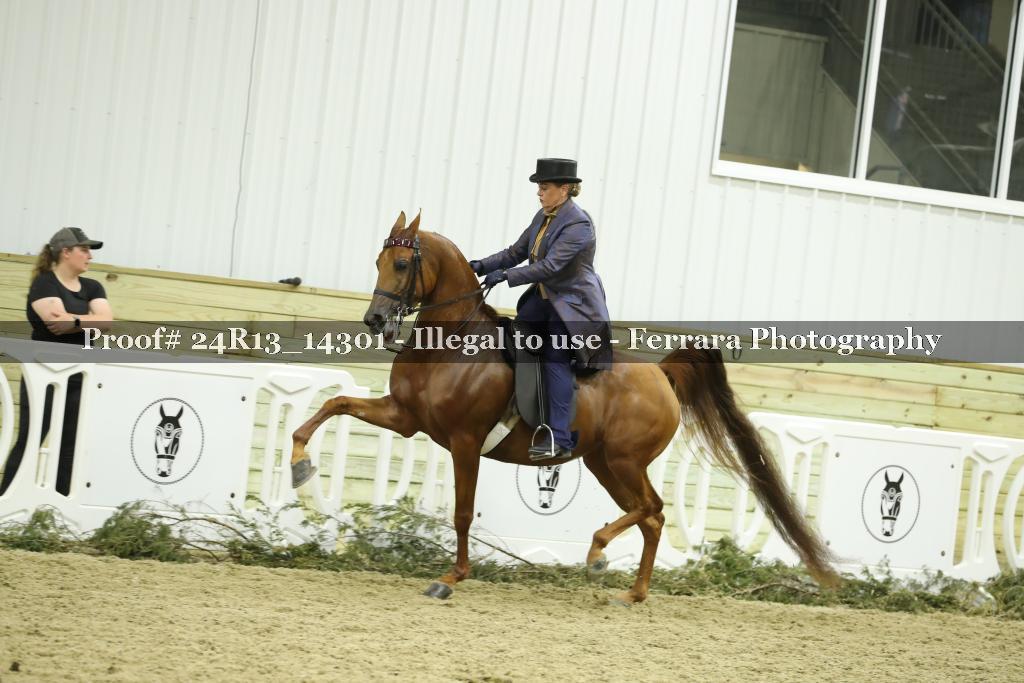 Proof 24R13_14301