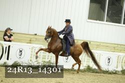 24R13_14301 proof