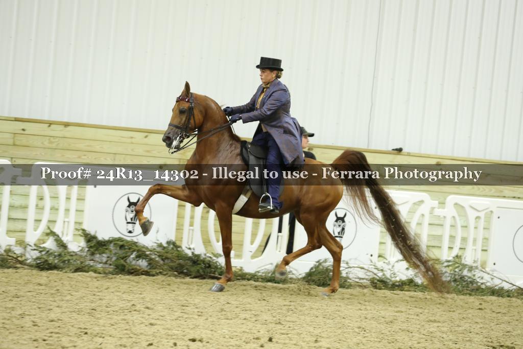 Proof 24R13_14302