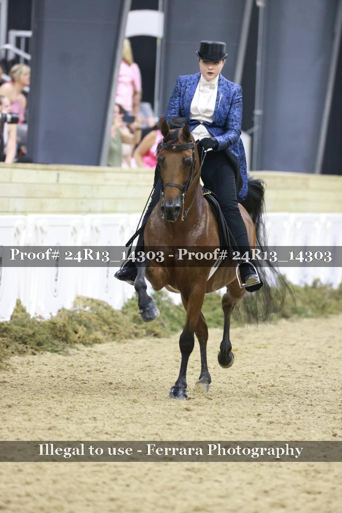 Proof 24R13_14303