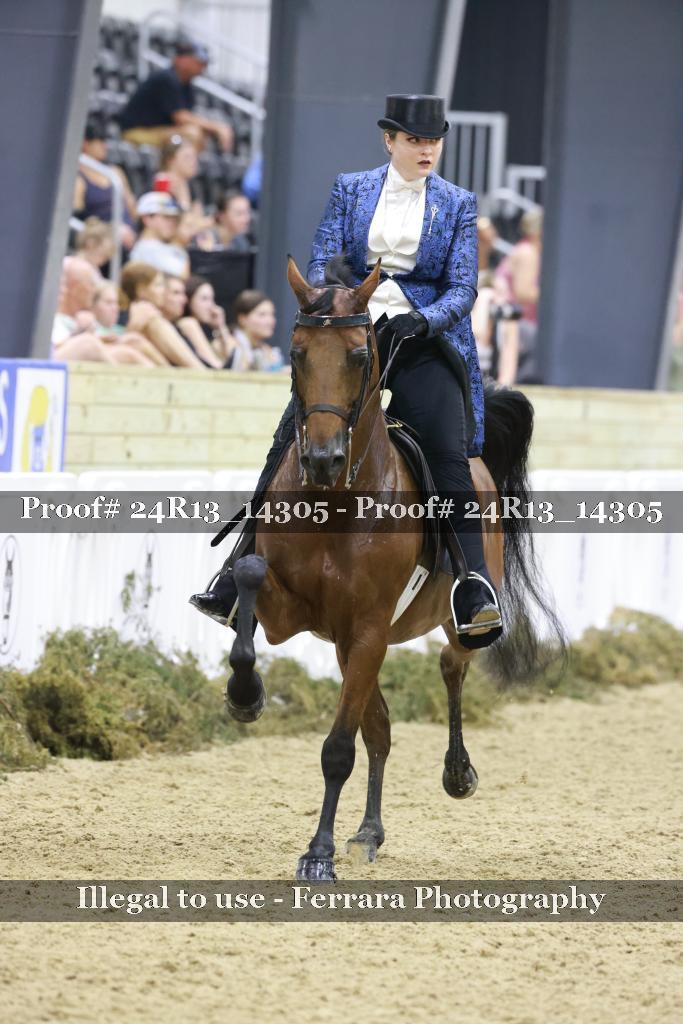 Proof 24R13_14305