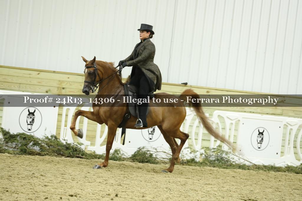 Proof 24R13_14306