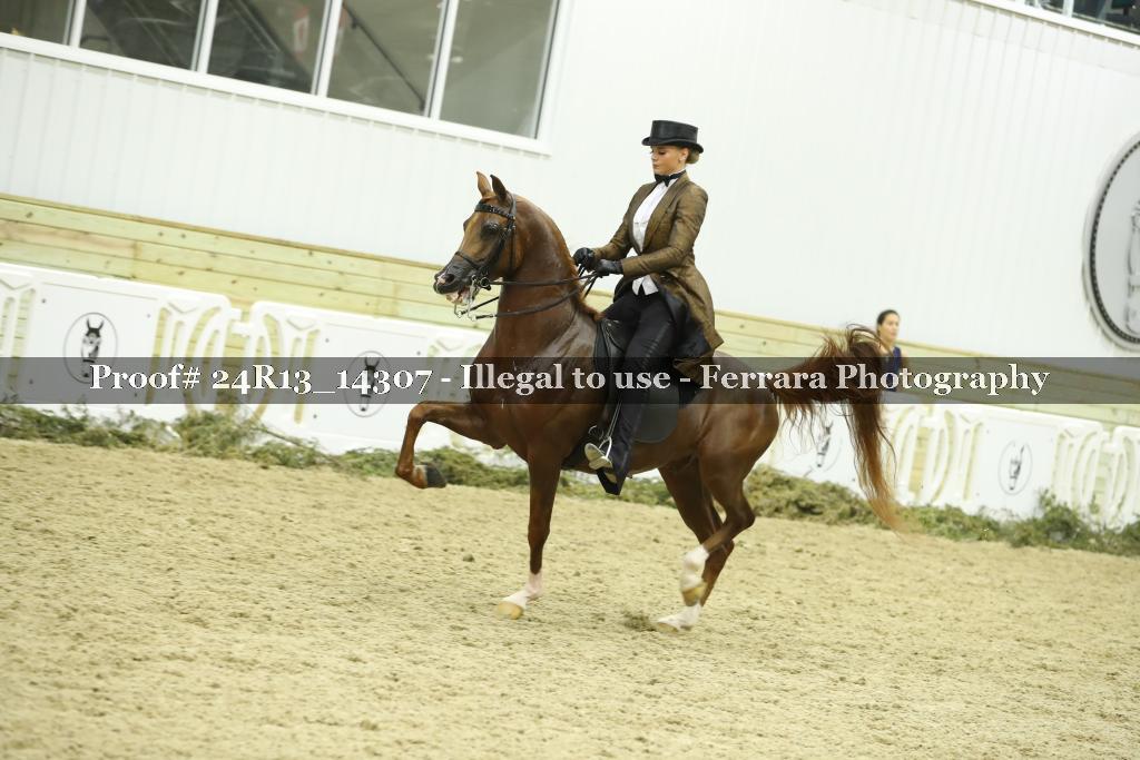 Proof 24R13_14307
