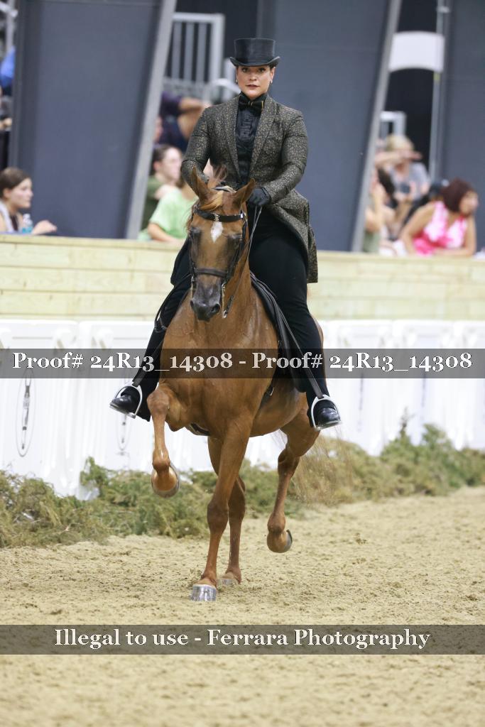Proof 24R13_14308