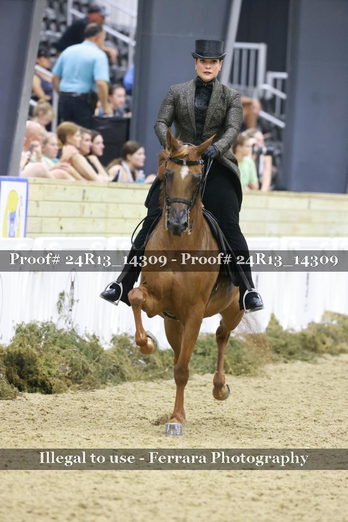 Proof 24R13_14309