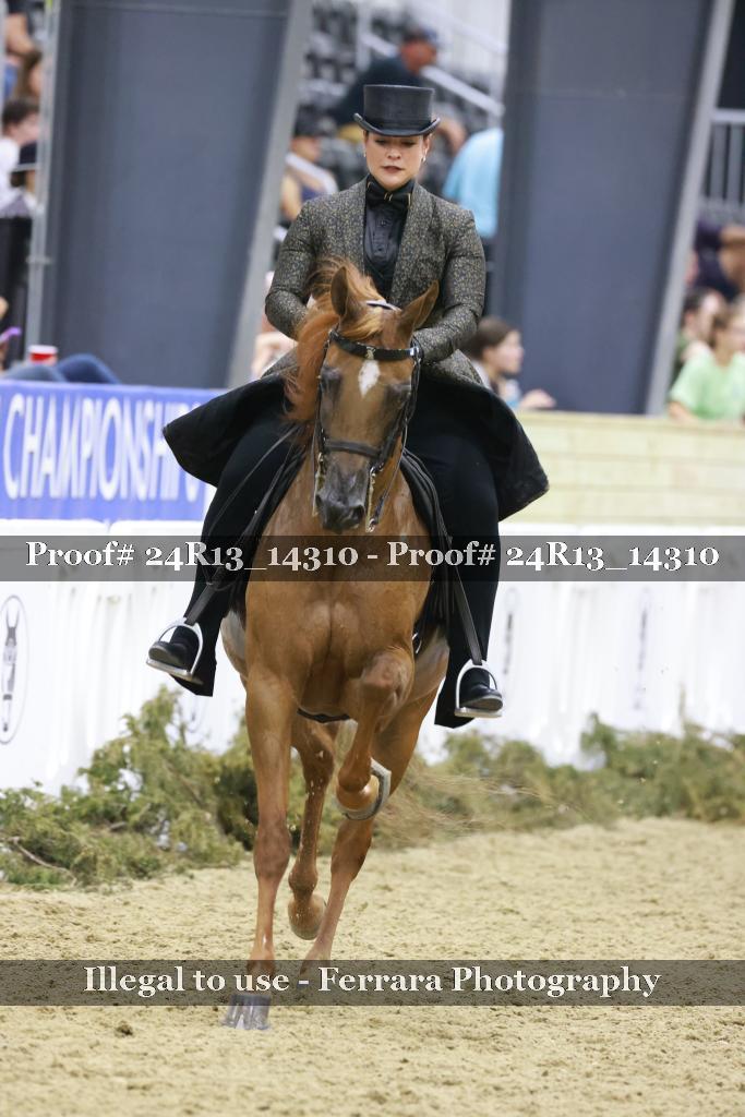 Proof 24R13_14310