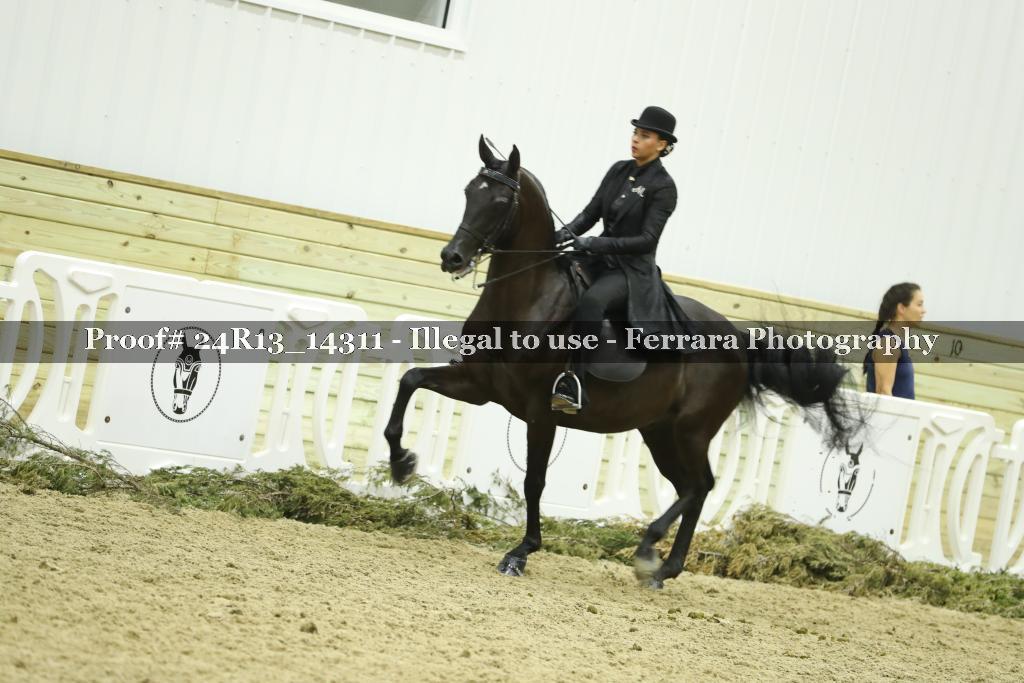 Proof 24R13_14311