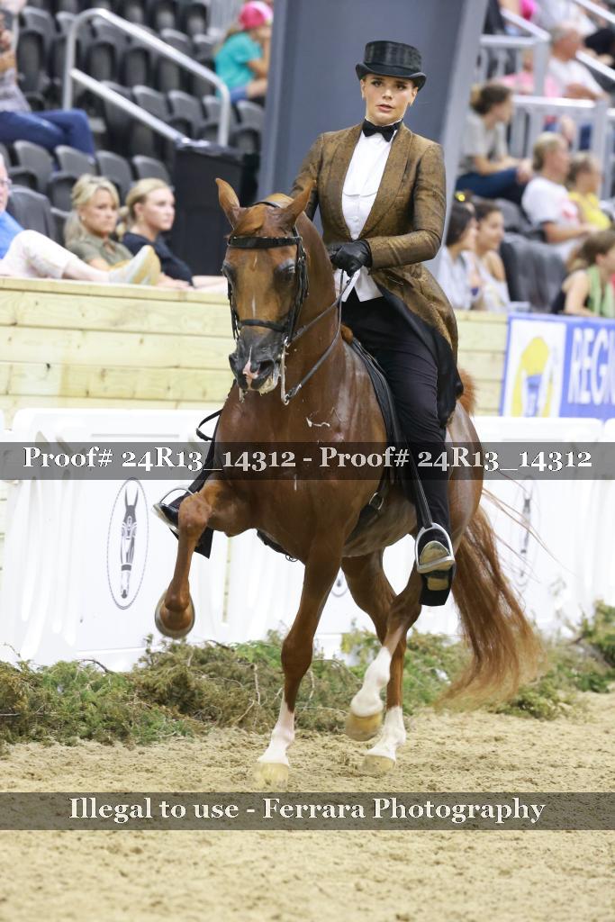 Proof 24R13_14312