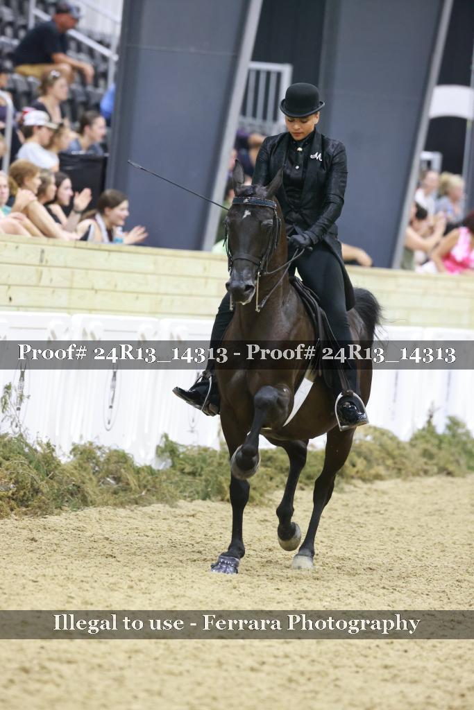 Proof 24R13_14313