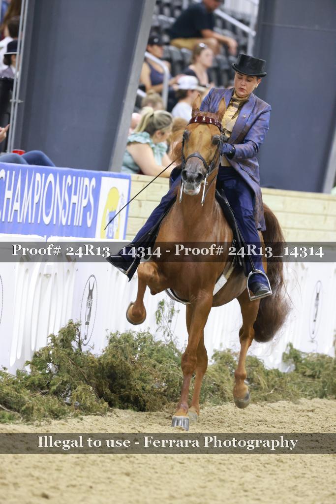 Proof 24R13_14314
