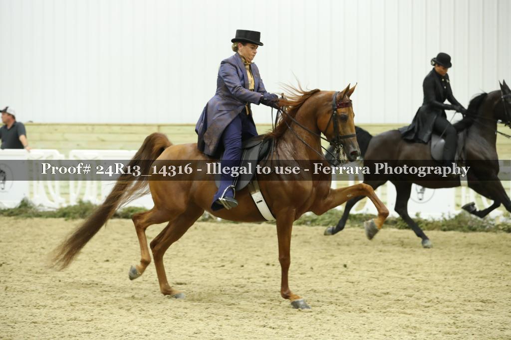 Proof 24R13_14316