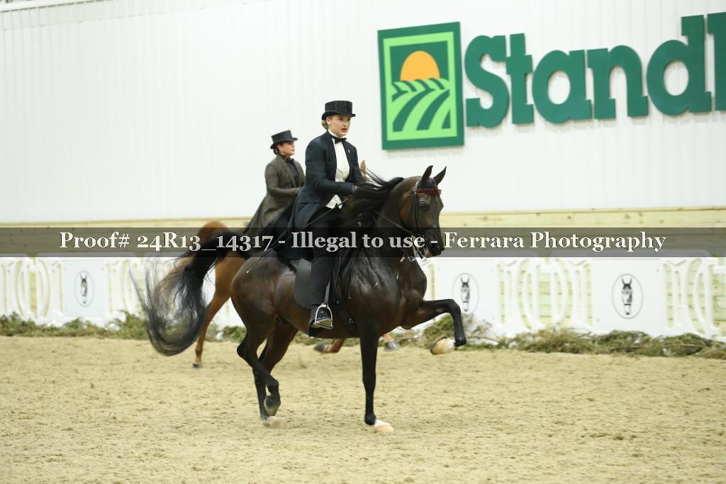 Proof 24R13_14317