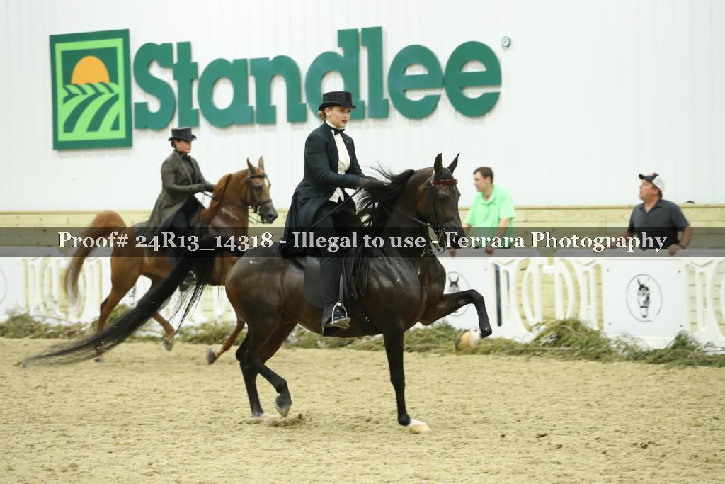Proof 24R13_14318
