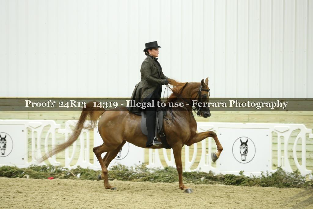 Proof 24R13_14319