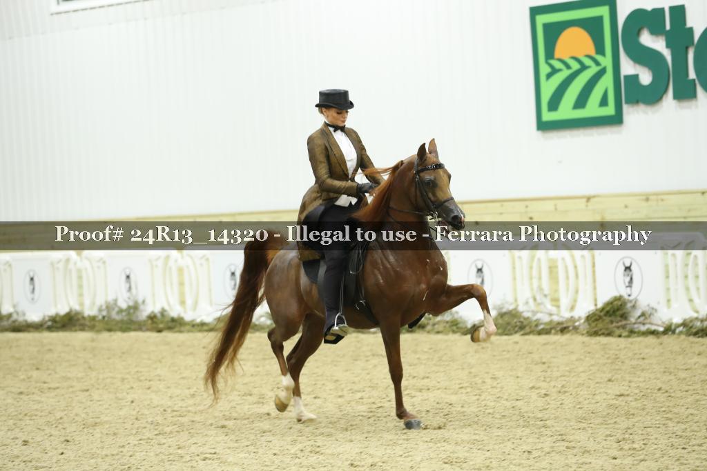 Proof 24R13_14320