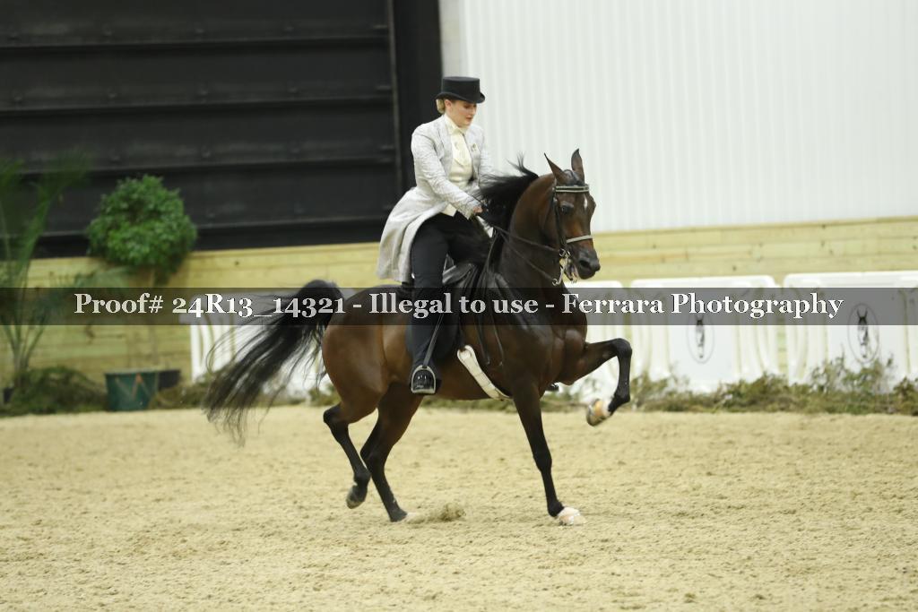 Proof 24R13_14321
