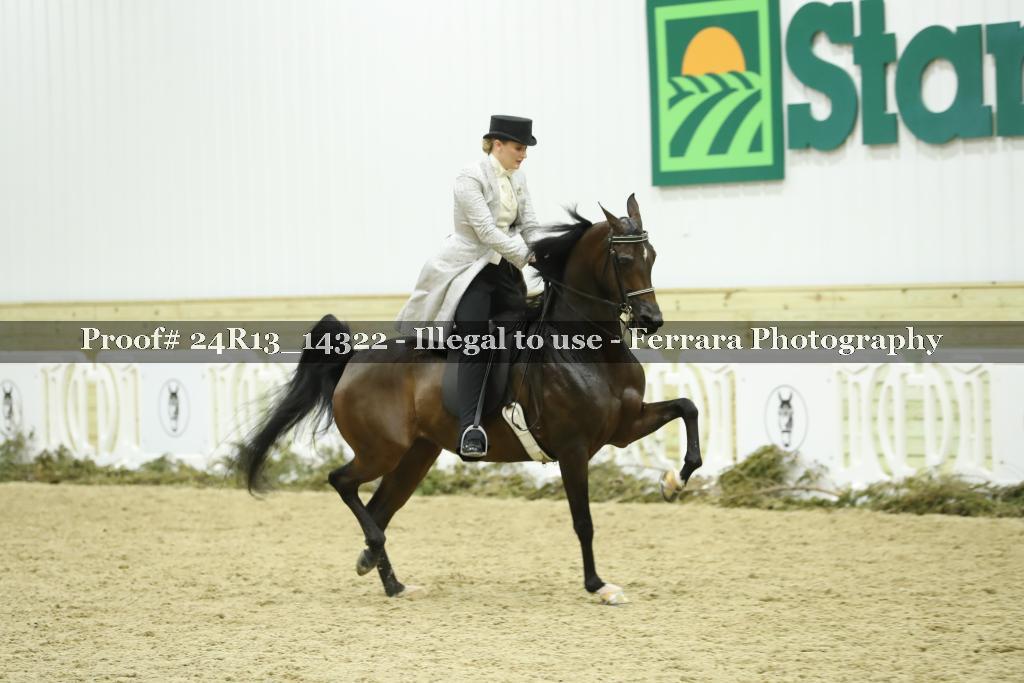 Proof 24R13_14322