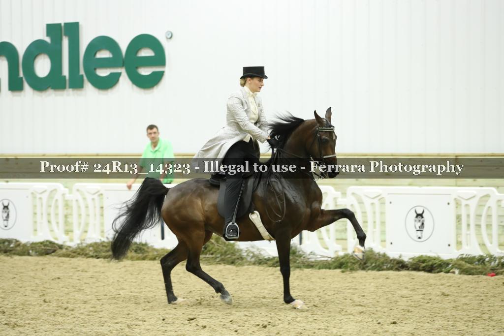 Proof 24R13_14323