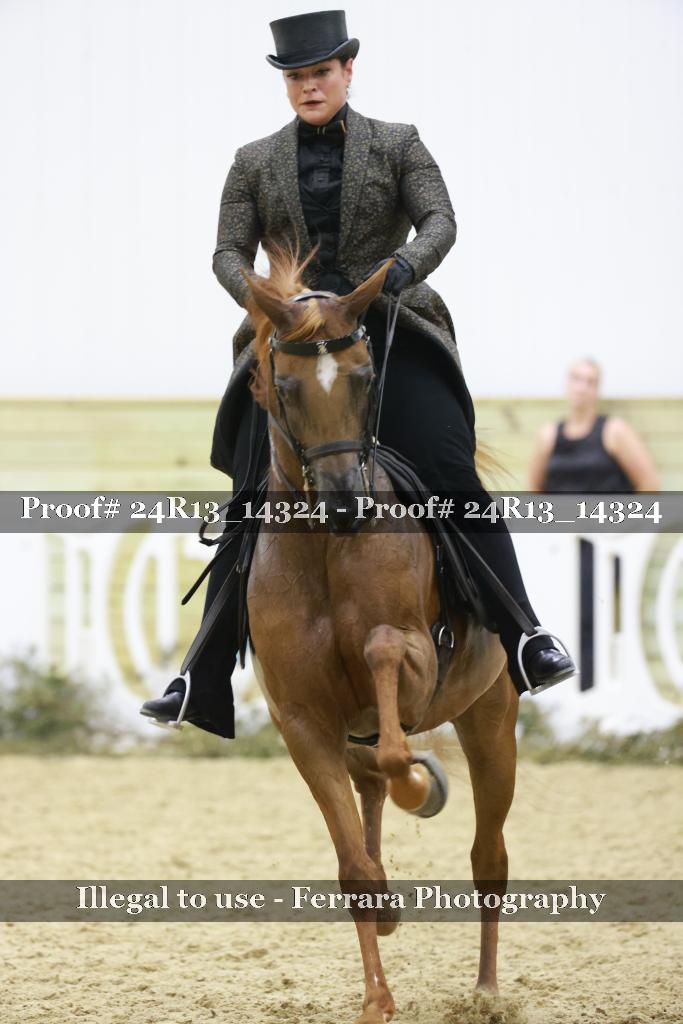 Proof 24R13_14324