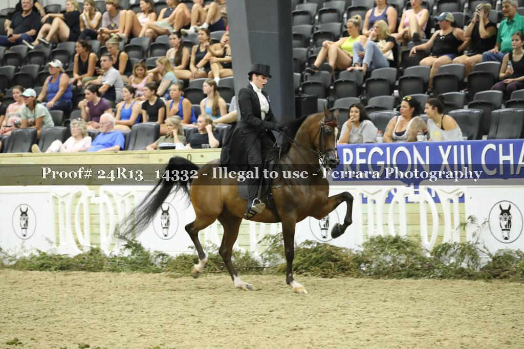 Proof 24R13_14332