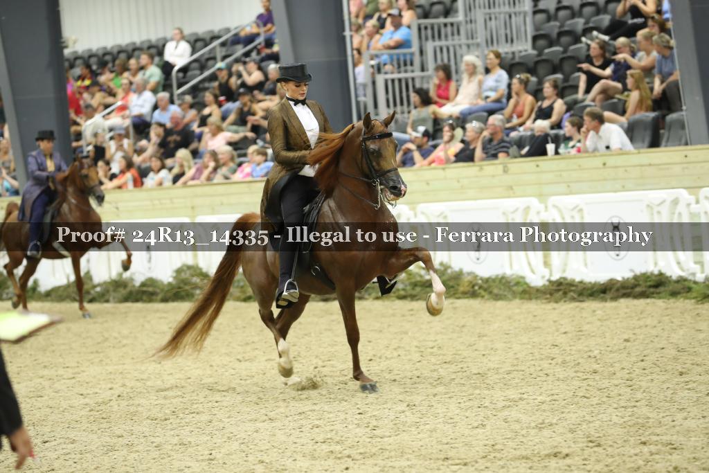 Proof 24R13_14335
