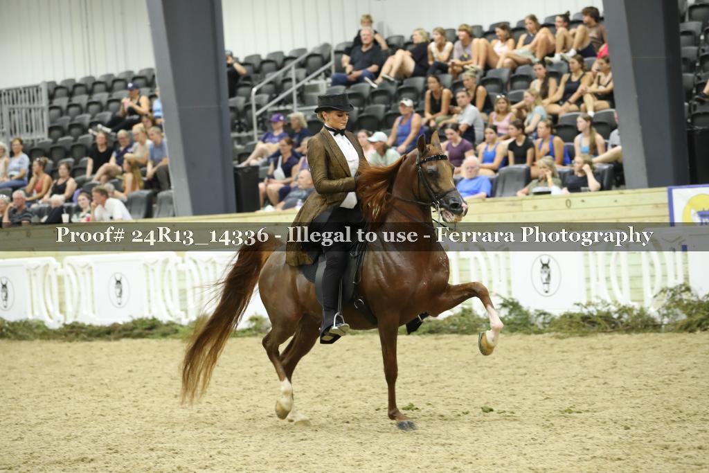 Proof 24R13_14336