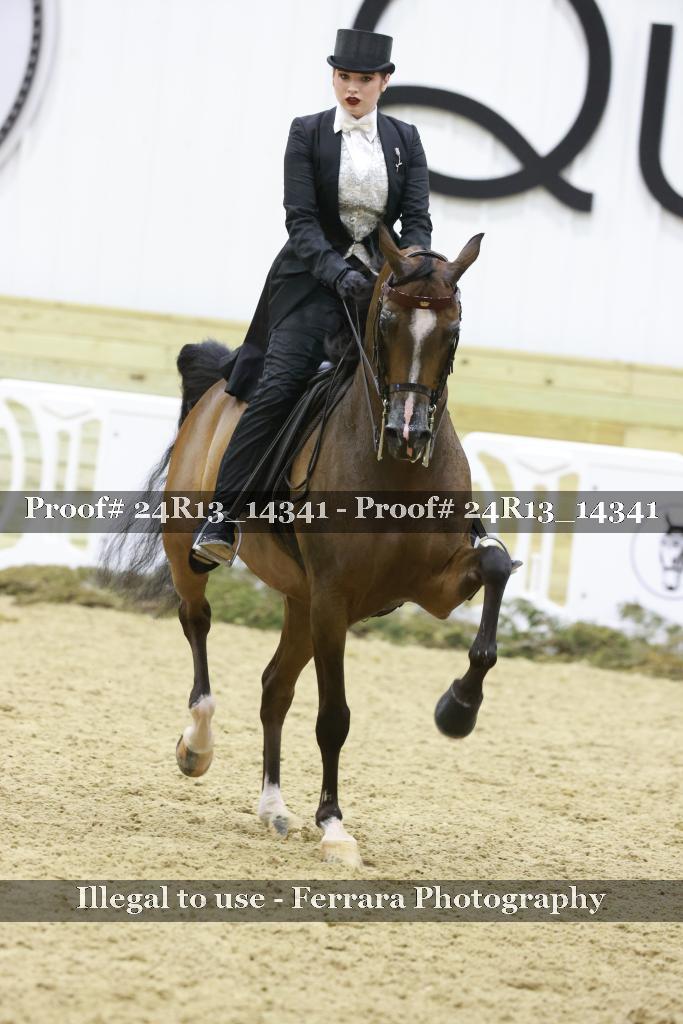 Proof 24R13_14341