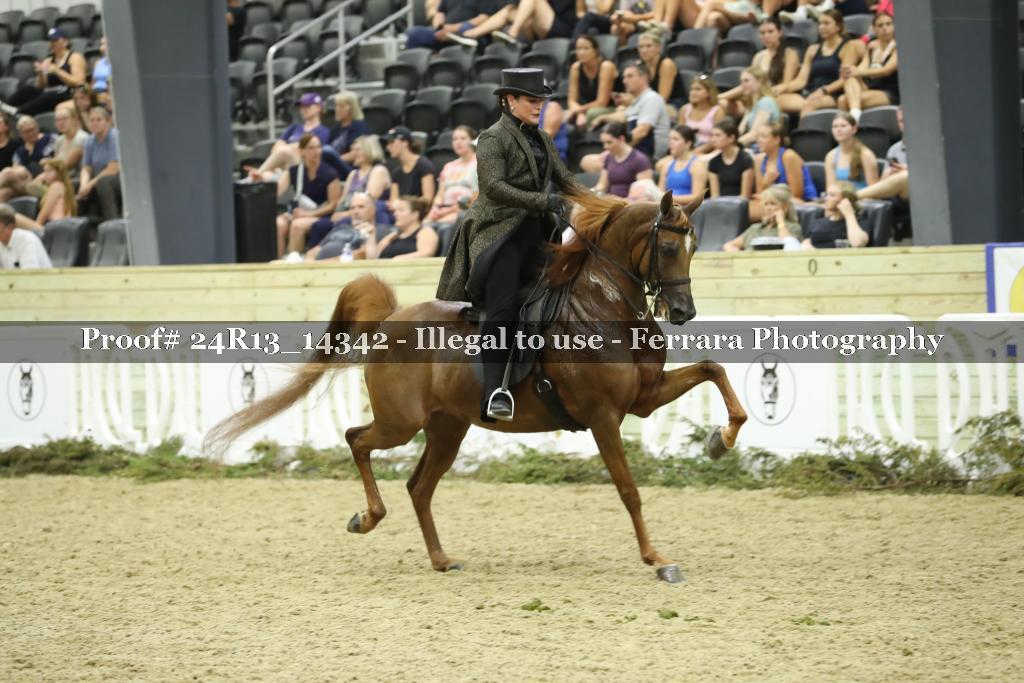 Proof 24R13_14342