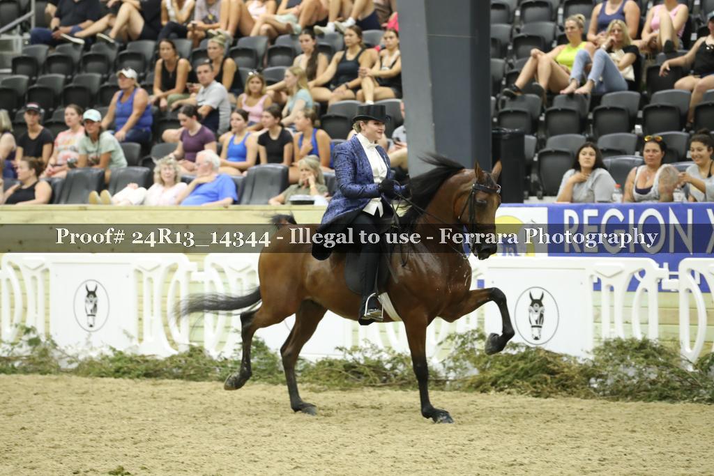 Proof 24R13_14344
