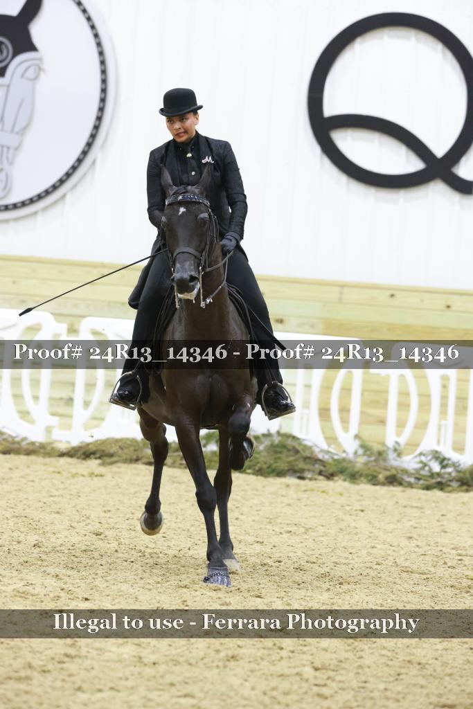 Proof 24R13_14346