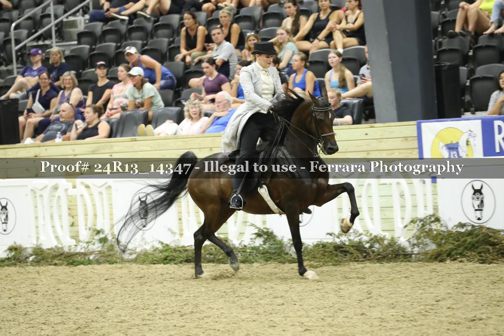 Proof 24R13_14347