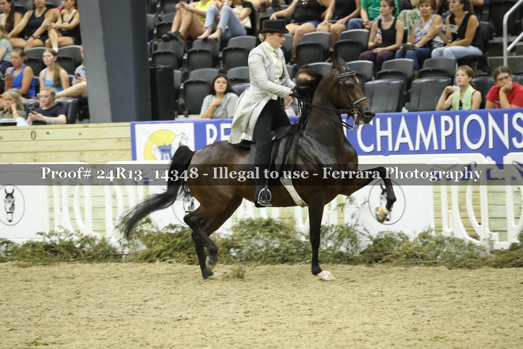 Proof 24R13_14348