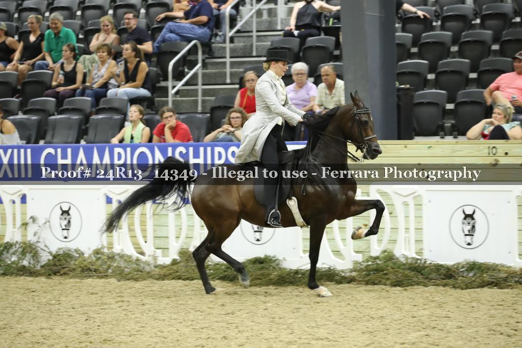 Proof 24R13_14349