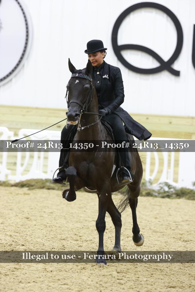 Proof 24R13_14350