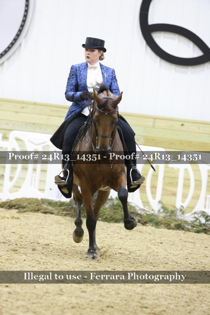 Proof 24R13_14351