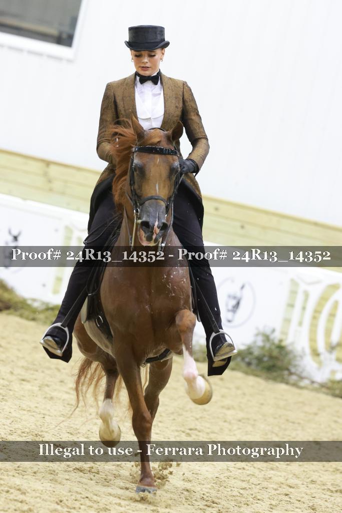 Proof 24R13_14352