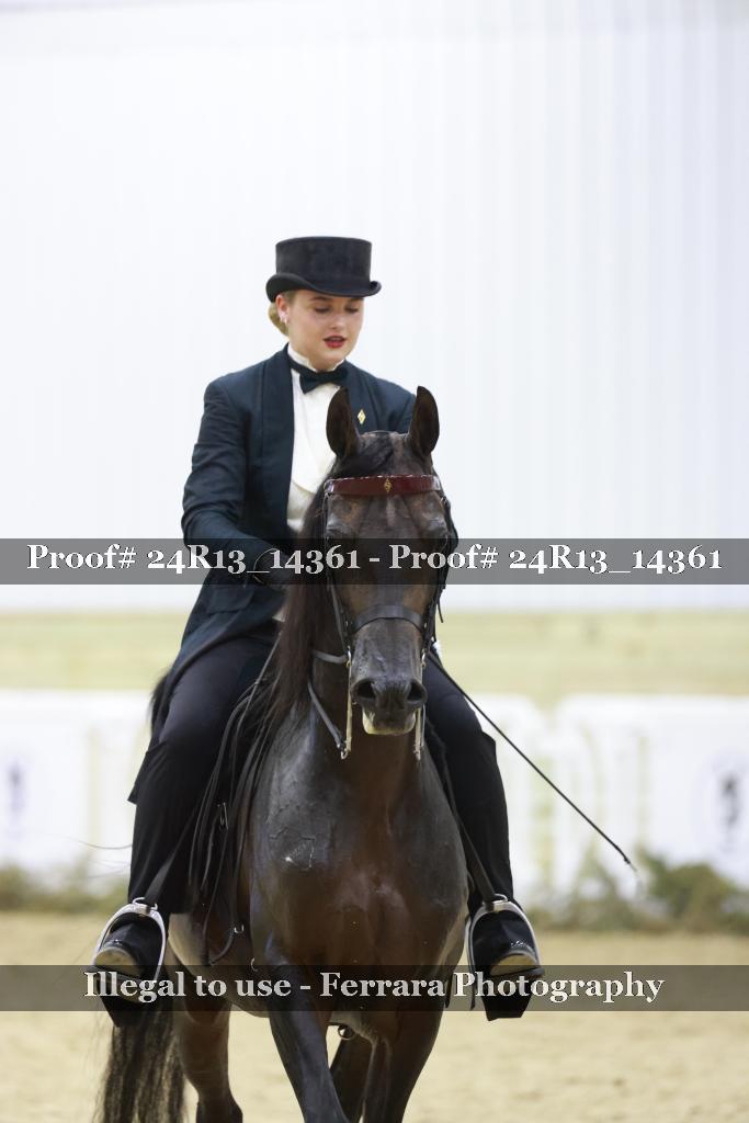Proof 24R13_14361