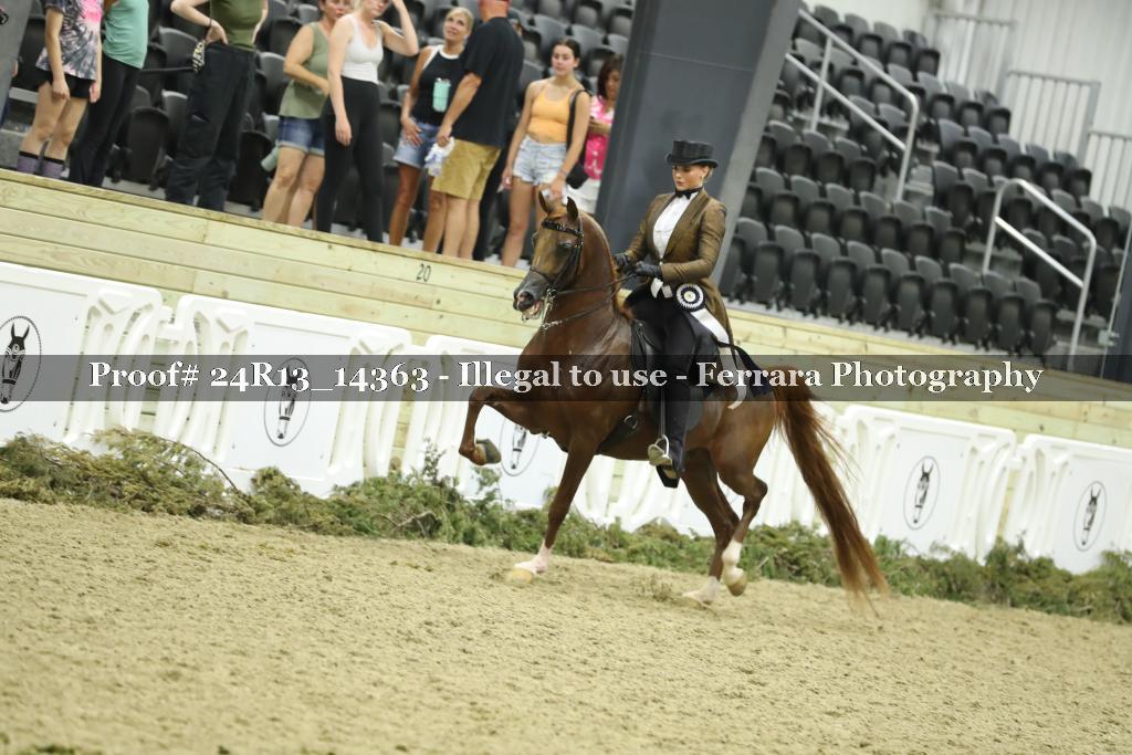 Proof 24R13_14363