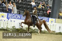 24R13_14366 proof