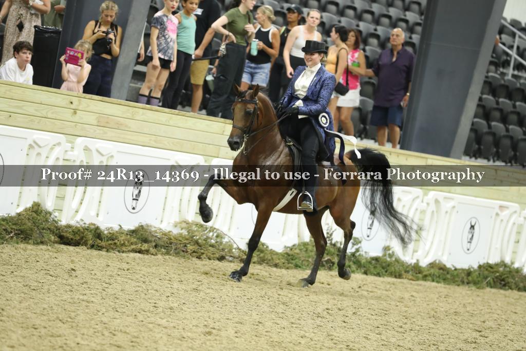 Proof 24R13_14369