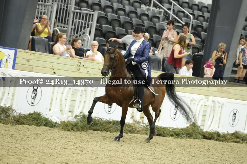 Proof 24R13_14370