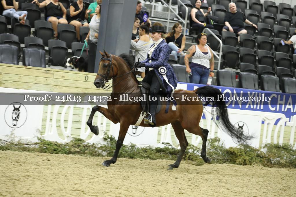 Proof 24R13_14372