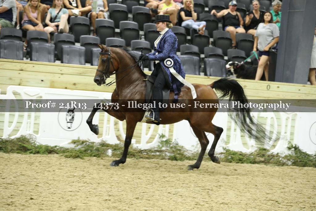 Proof 24R13_14373