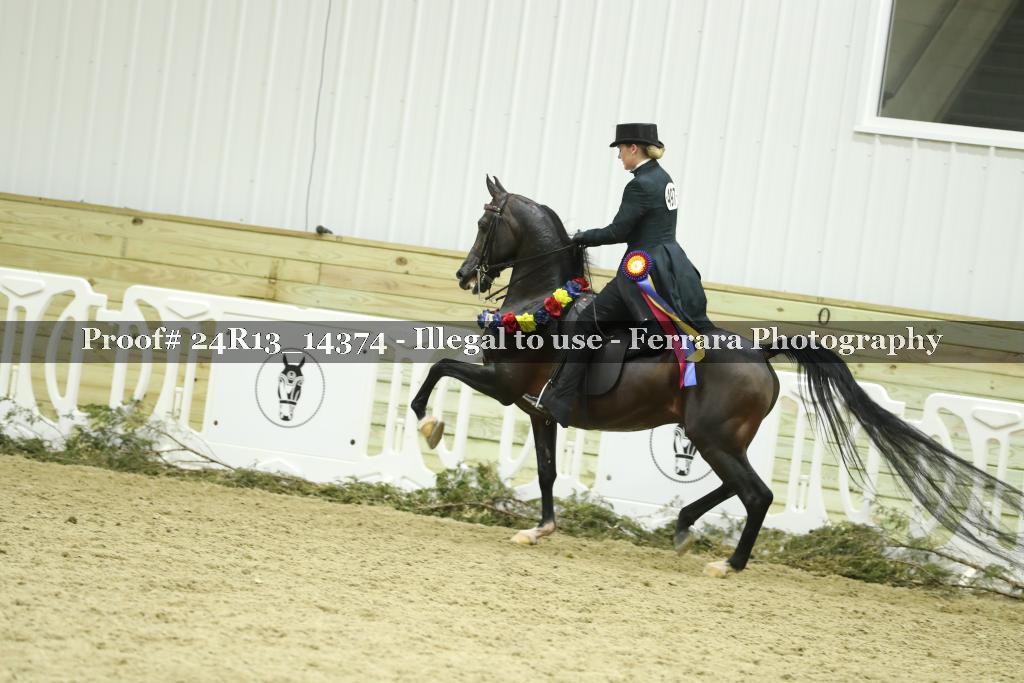 Proof 24R13_14374