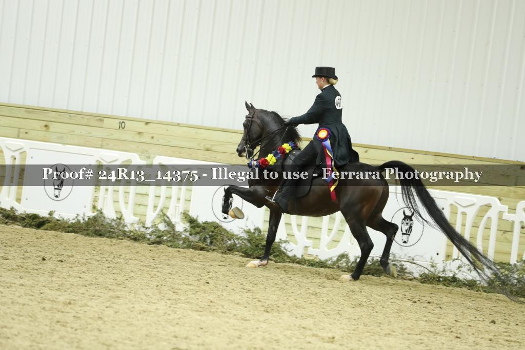 Proof 24R13_14375