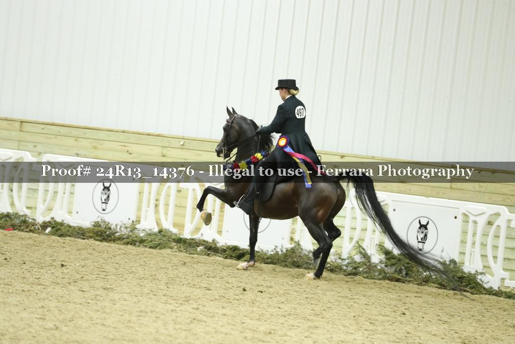 Proof 24R13_14376