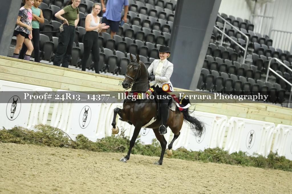 Proof 24R13_14377