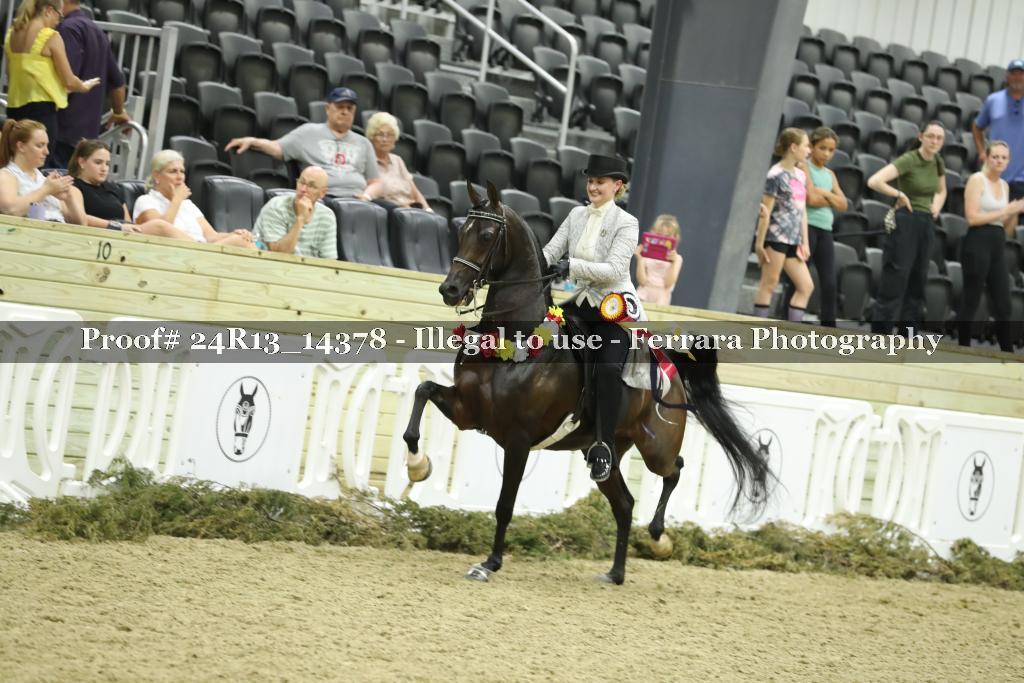 Proof 24R13_14378